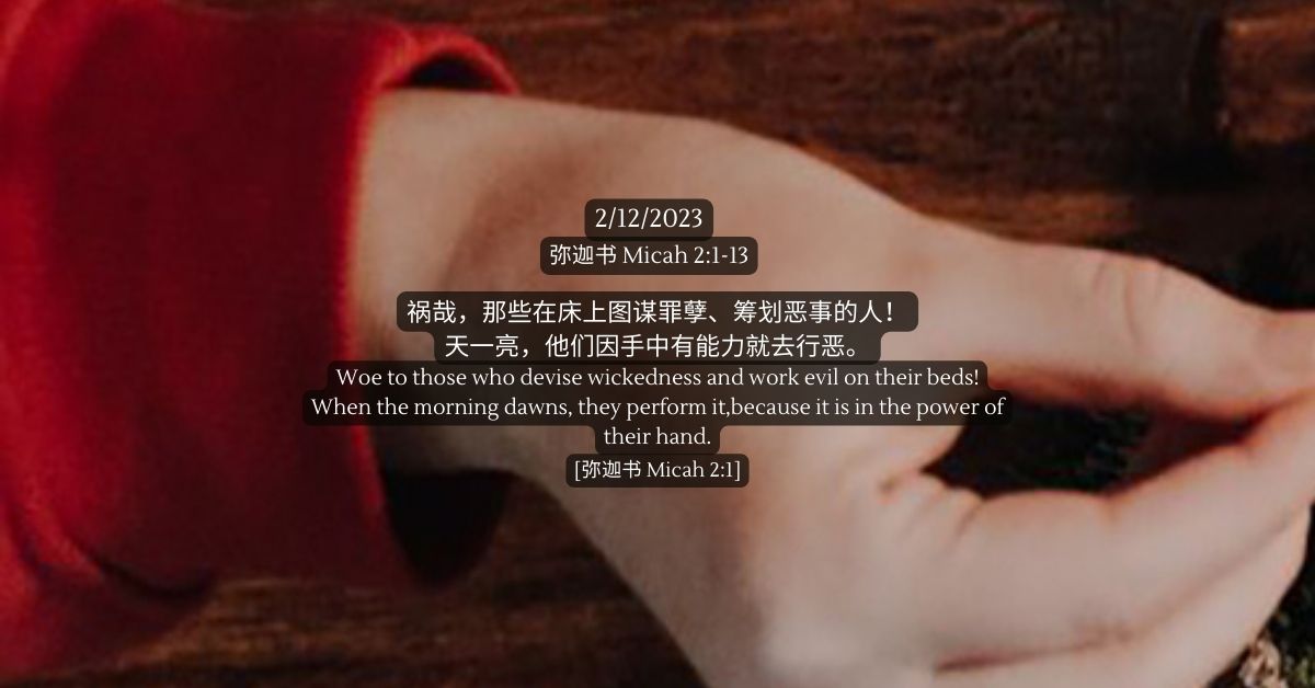 【正規品直輸入】 弥迦书Micah 2:1-13 - FMC 和書