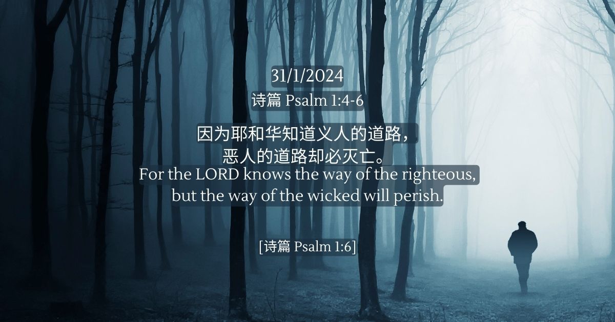 诗篇Psalm 1:4-6 - FMC