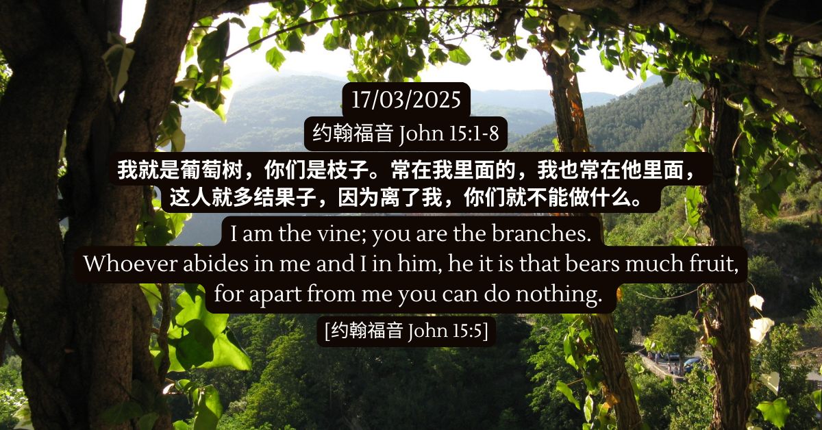 John 15:1-8 - FMC