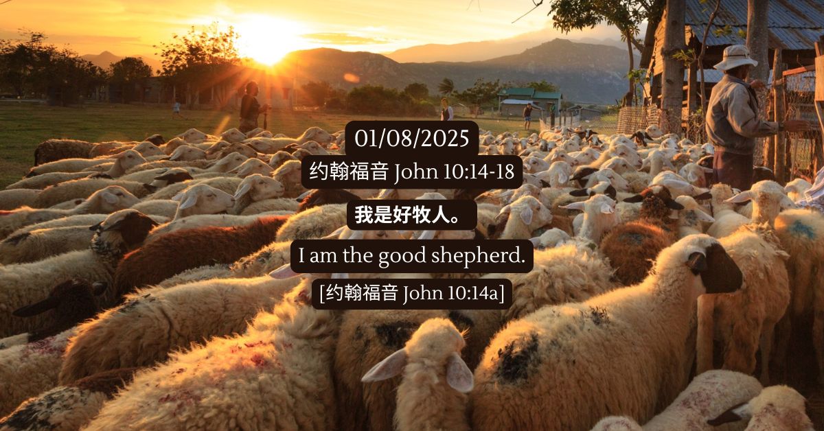 John 10:14-18 - FMC