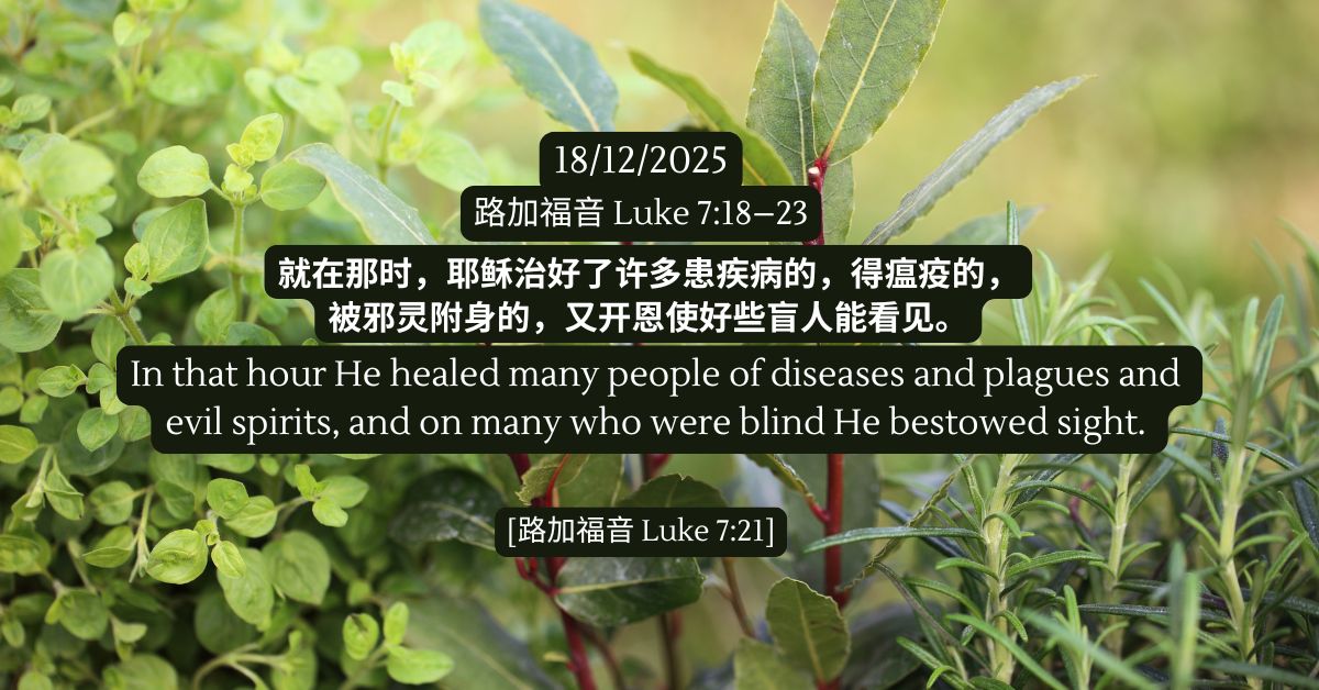 Luke 7:18–23 - FMC